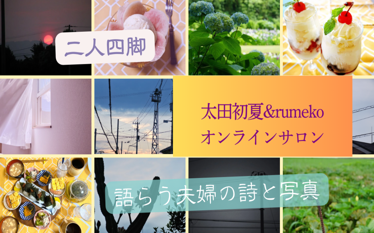 イメージ画像