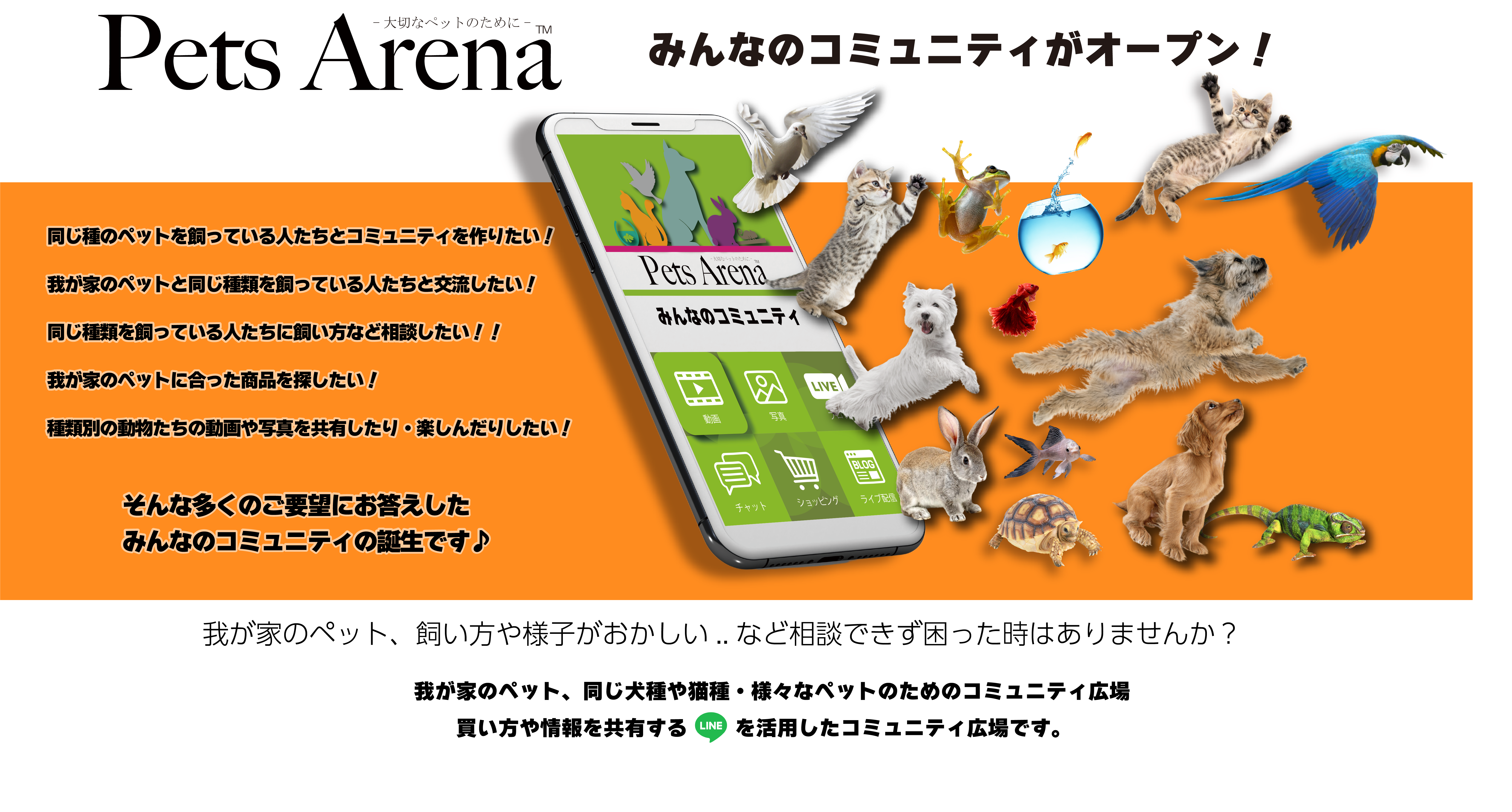 イメージ画像