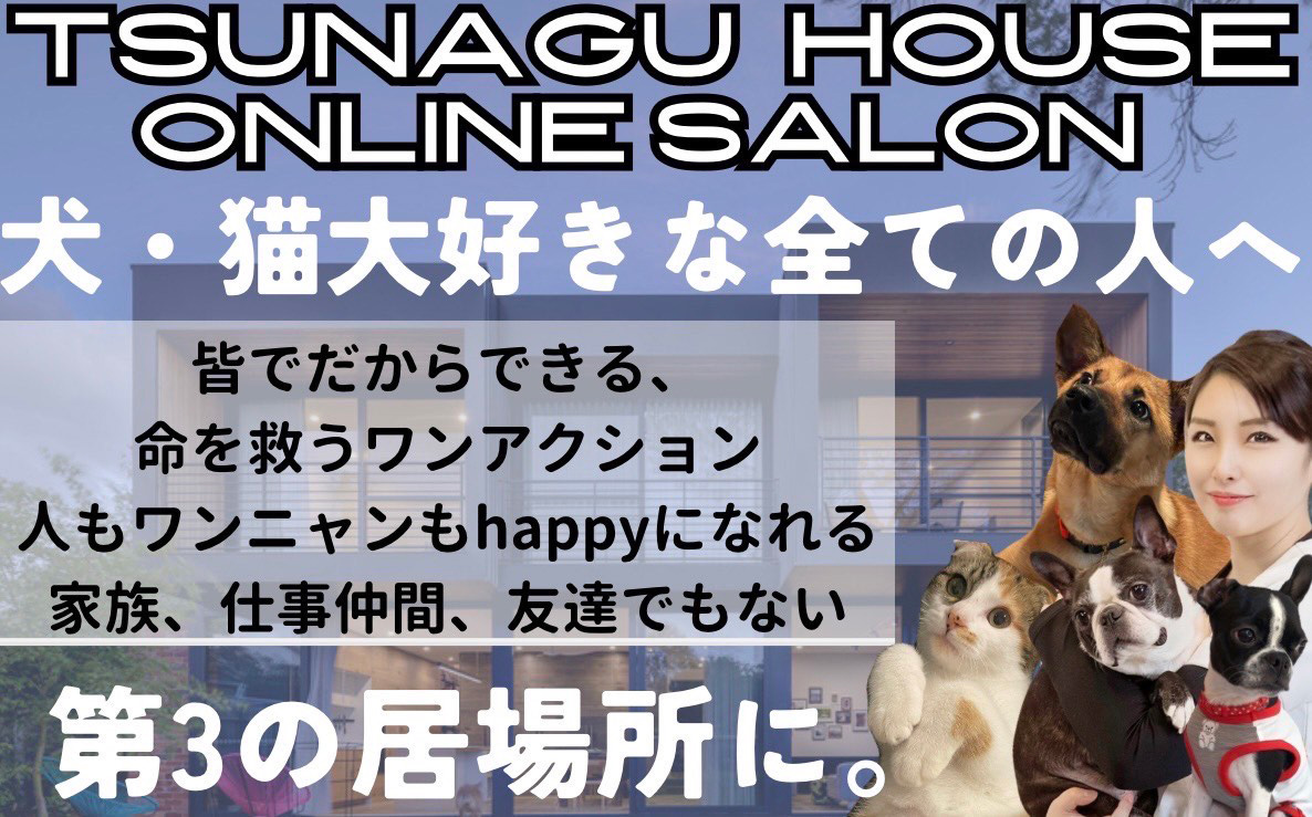イメージ画像